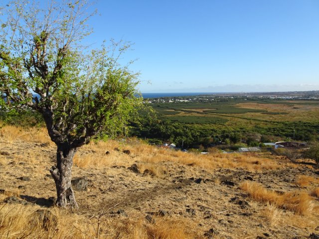 On domine l'Etang Saint-Paul depuis la savane