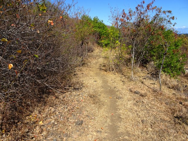 Le sentier de raccourci pour rejoindre le Tour des Roches