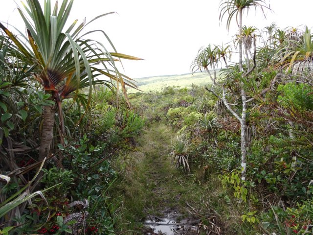 Une portion humide à mi-montée
