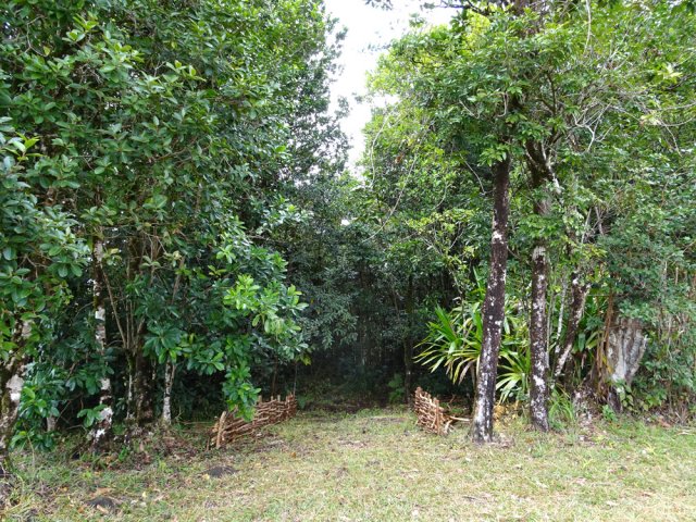 L'entrée du sentier botanique