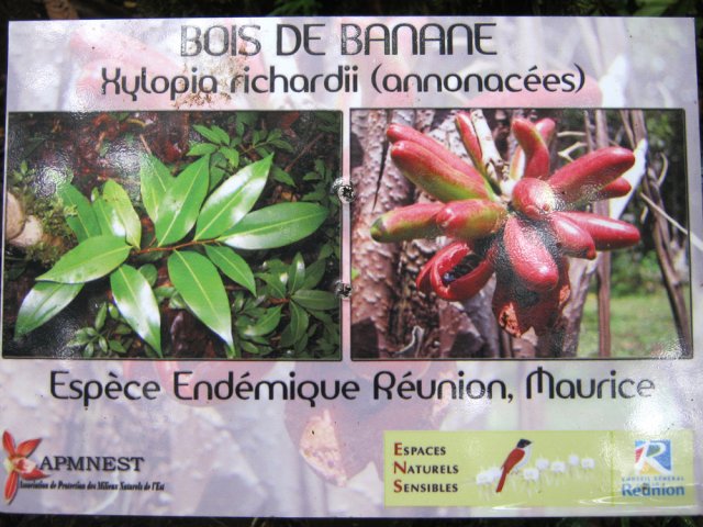 Les panneaux sont de qualité mais souffrent de la météo humide de la région