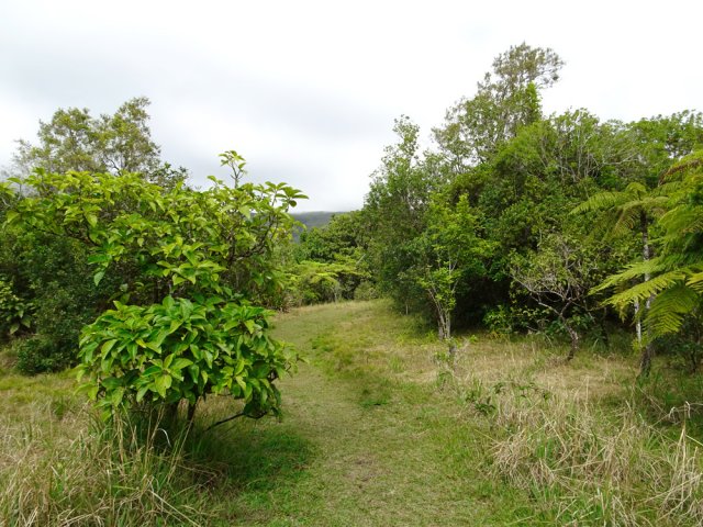Début de la randonnée dans de grandes "prairies"