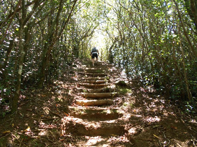 La deuxième partie comporte également des marches