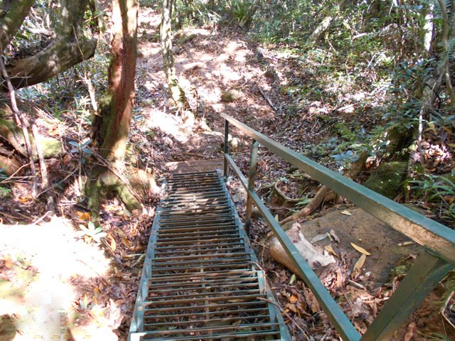 La première échelle qui est plus un escalier métallique