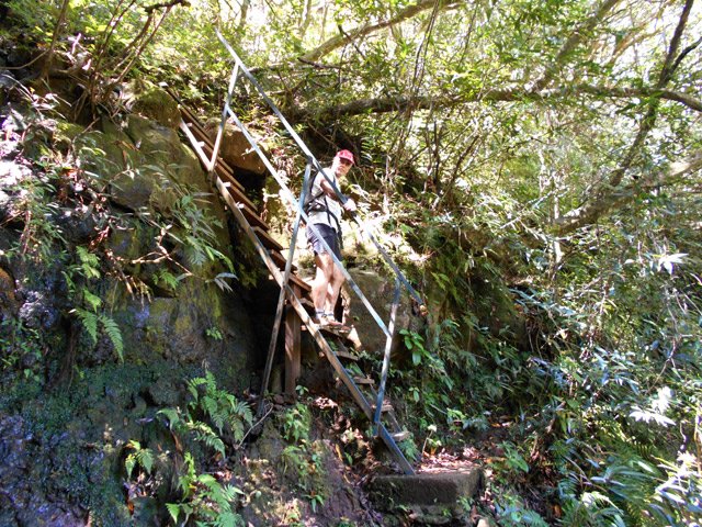 Ici, l'escalier est indispensable pour la sécurité