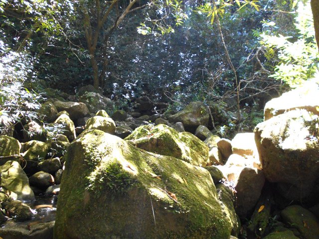 Les gros galets qui tapissent le fond du bras