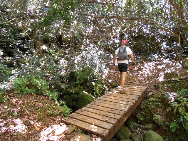 Passerelle sur le Bras Baptiste