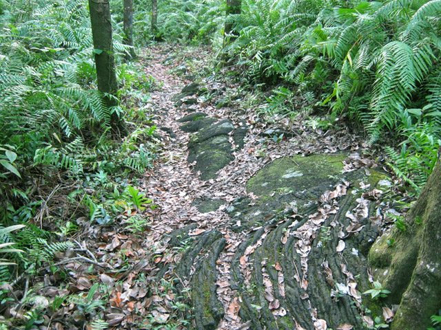 Belles zones recouvertes de lave, glissante par temps humide