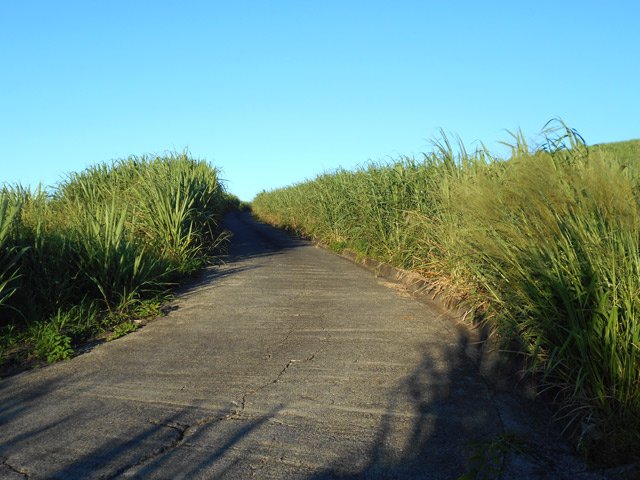 Circulation presque inexistante sur cette route bétonnée pour une rando sereine