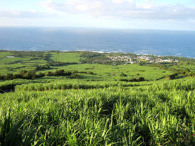 La région est couverte de canne à sucre, presque jusqu'à la mer