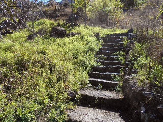 Le sentier des Gaulettes comporte plus d'escaliers que de sentier