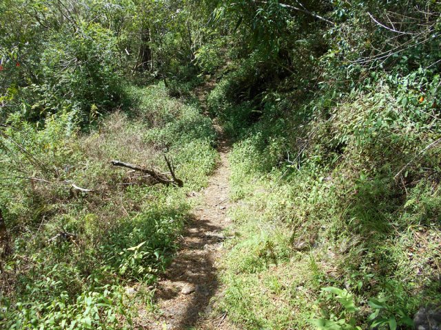 Le sentier devient plat, la montée est donc terminée