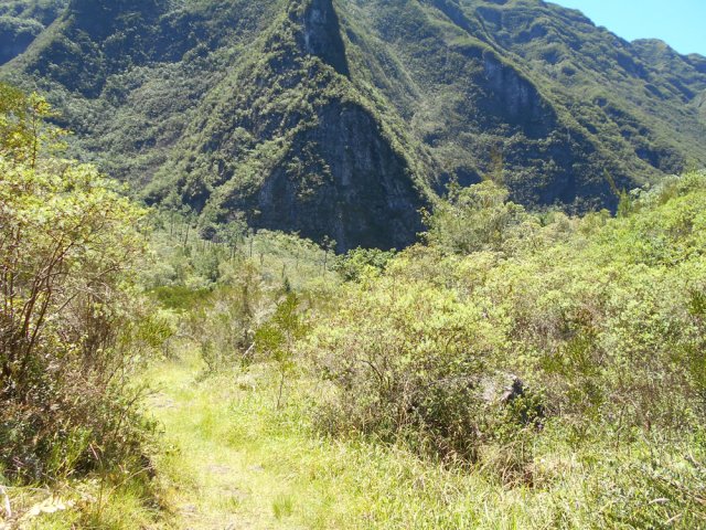 La vaste clairière de la Mare à Montfleury avant la plongée vers la Ravine des Calumets