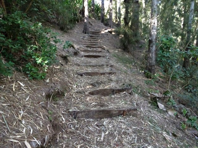 Sentier facile pour rejoindre le haut