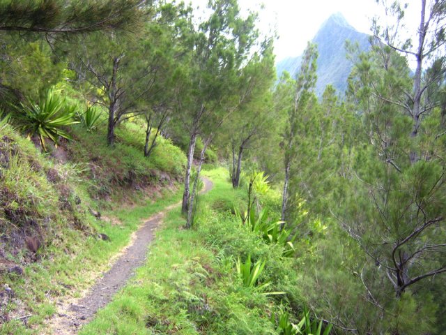 Le sentier du Plateau de Gousse avec vues sur le Piton Cabris