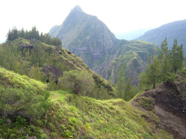 Le Piton Cabris vu depuis la traversée du Plateau de Gousse