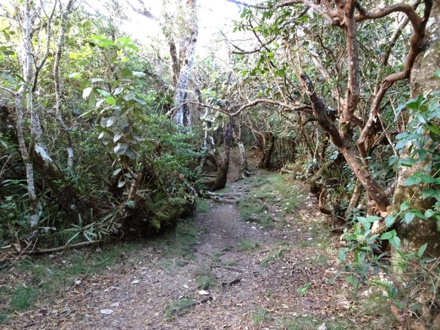 Traversée du Plateau de la Sale, plat et un peu boueux