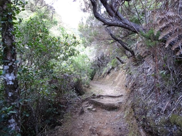 Une belle portion avant d'arriver aux lacets