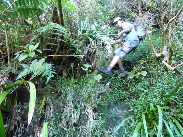 Quelques portions délicates avec ou sans cordes