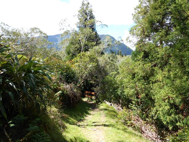 Une idée du Sentier de la Tamarinaie : Derrière, le Coteau Monique et les pentes du Mazerin