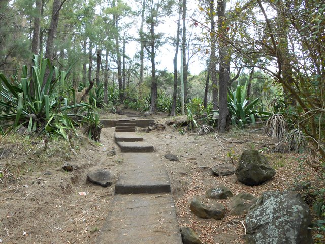 Balade agréable sous les filaos