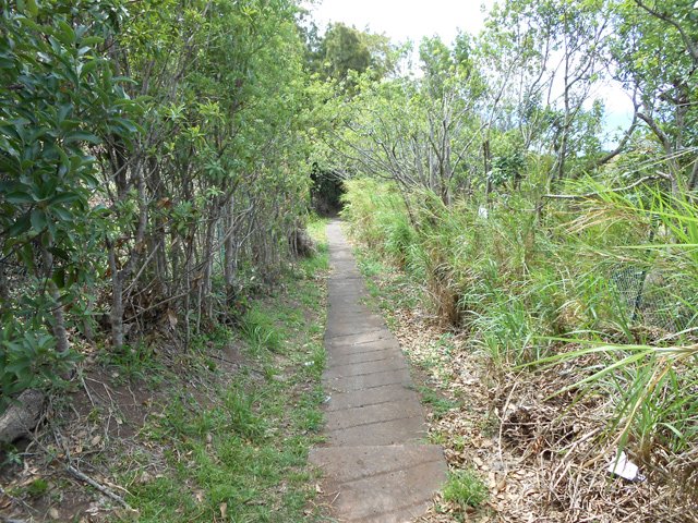 La fin du sentier longe des maraîchages