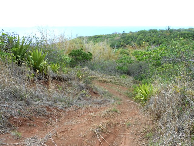 La piste a mal vieilli mais les randonneurs passent aisément