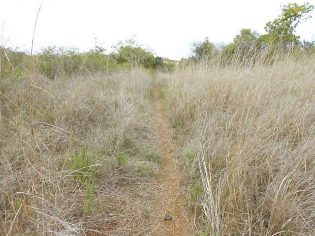 Paysage idéal pour chasser le lièvre