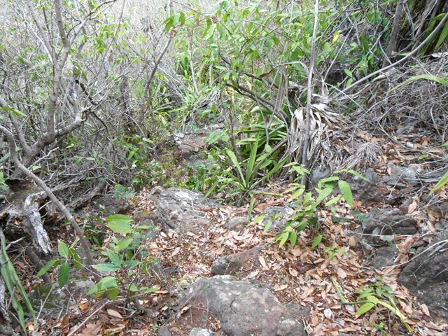 La descente au Bassin Passage est plus technique sur de grosses pierres