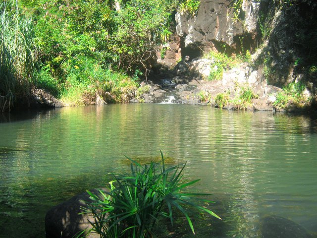 Arrivée au Bassin Passage alimenté par la Grande Ravine
