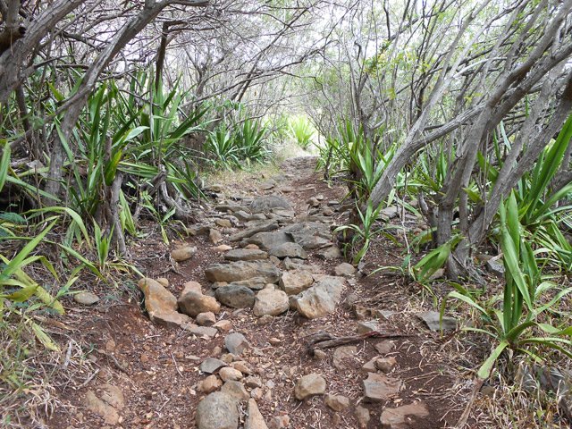Certaines portions ont sans doute souffert du passage des chevaux ?
