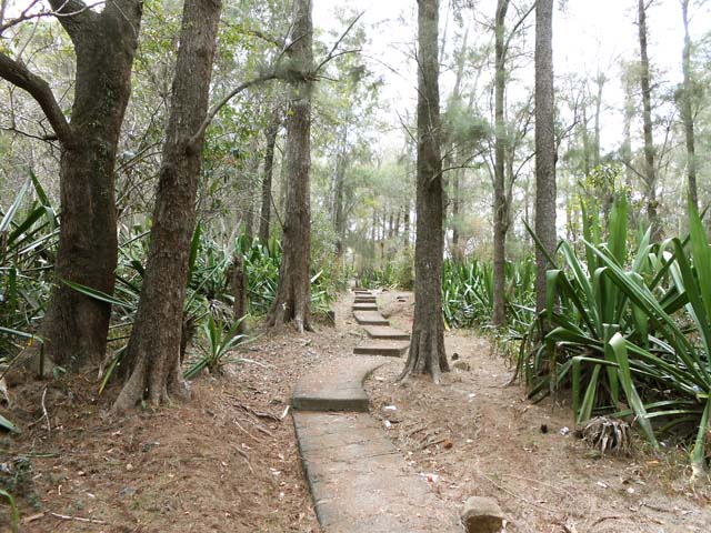 Un sentier qui attendra longtemps avant d'être envahi de végétation