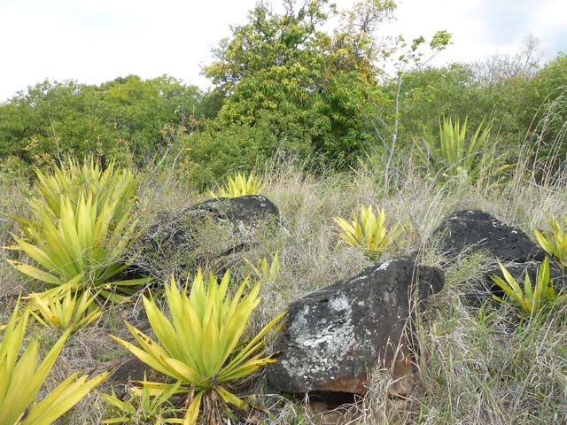 Une bonne idée du paysage de la boucle