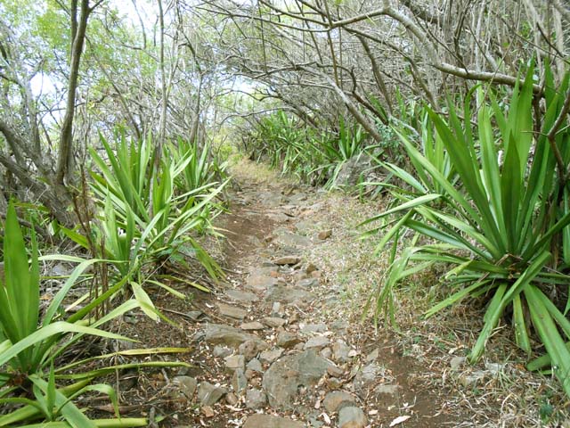 La fin du sentier avant de rejoindre le centre équestre