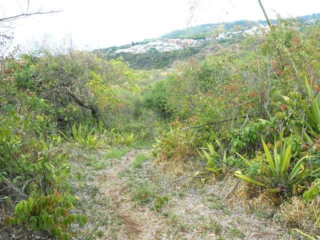 Le chemin qui se transforme en sentier pour descendre au Bassin Passage
