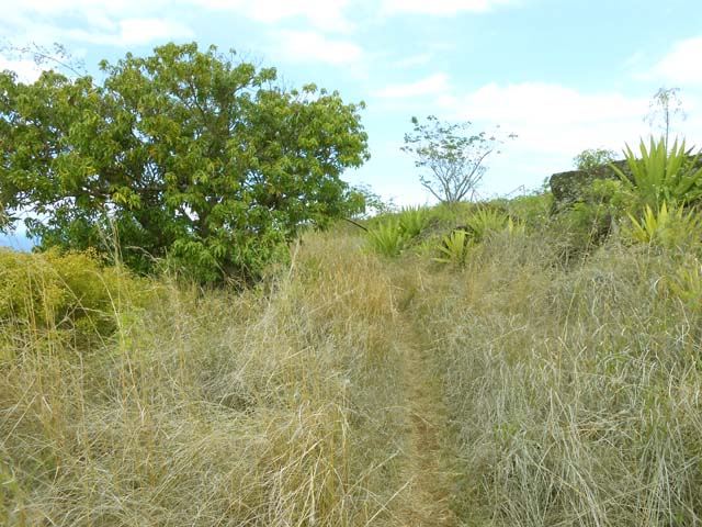 Le sentier est presque identique durant tout le trajet