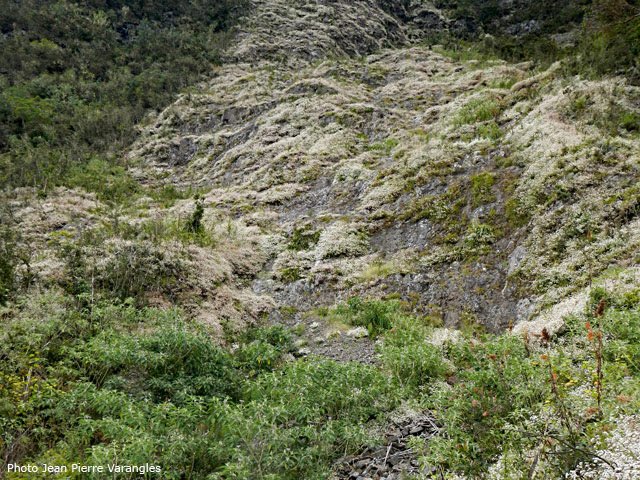 On comprend bien pourquoi on parle ici de kilomètre vertical