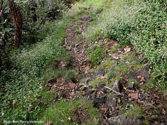 Un des rares passages agréable de cette longue descente