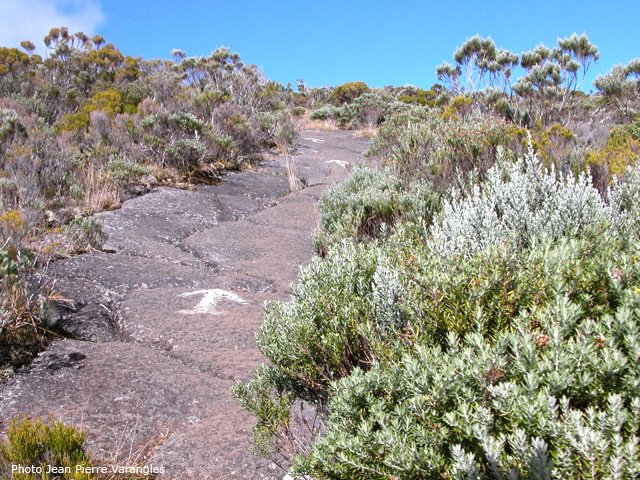 Impossible de se tromper de sentier