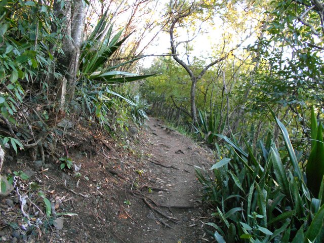 Les parties plus plates sont assez rares