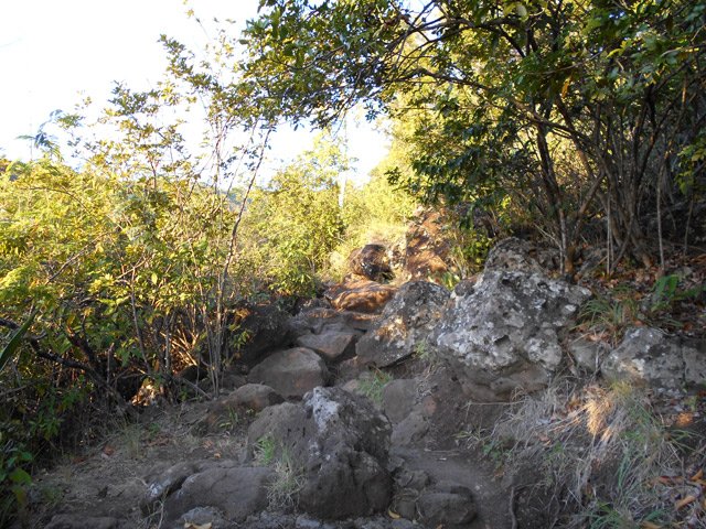 Les roches en travers du sentier sont parfois hautes