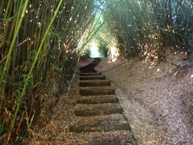 Le premier raccourci pour éviter les virages du Brûlé