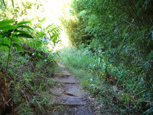 Le sol glissant d'un autre raccourci