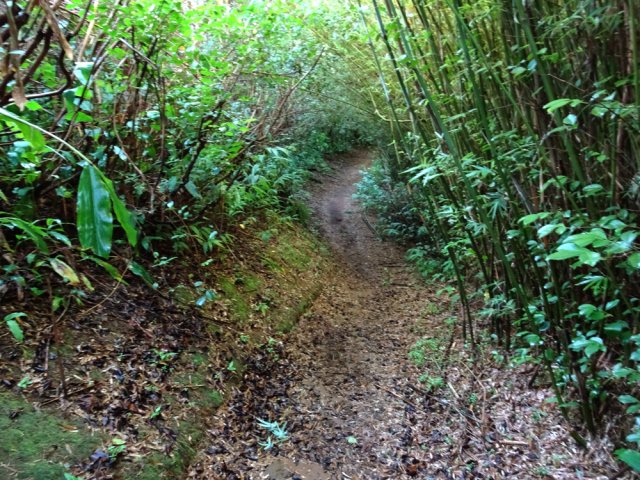Le début du très long sentier vers Mamode Camp