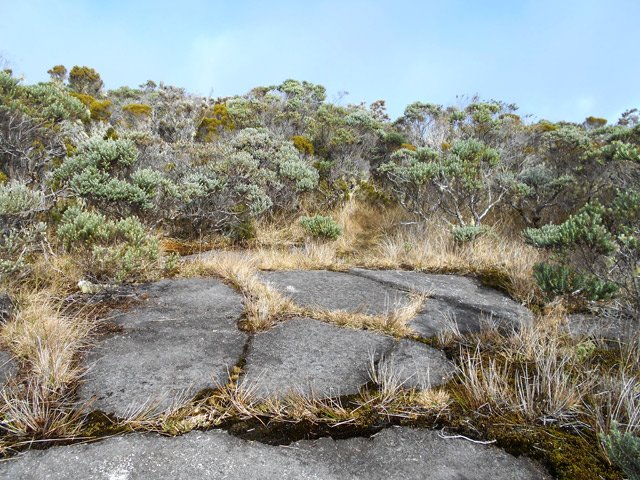 Une grande partie du sentier emprunte de larges plaques de lave