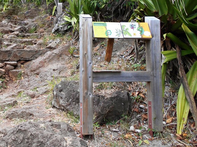 Le début également du sentier botanique de la Providence