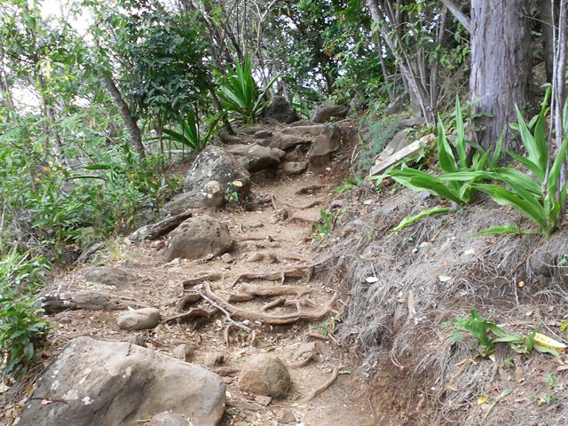 Sentier usé par les dizaines de milliers de passages