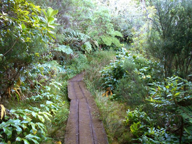 Des planches isolent des parties boueuses
