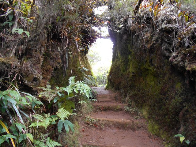 Trois passages sont ainsi creusés dans la terre