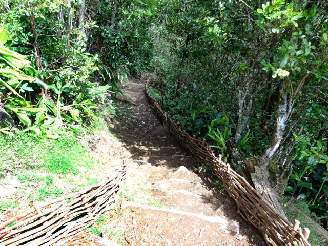 Le début du sentier, bordé de fascines, en forte descente